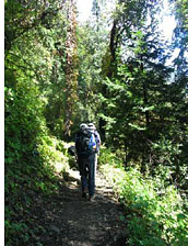 Chopta-Tungnath Trek, Panchchuli, Nanda Devi, Nilkanth, Kedarnath